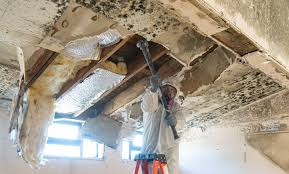 Best Asbestos and Lead Testing During Mold Inspection  in Bellevue, OH